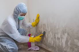 Mold Documentation for Insurance Claims in Gila Bend, AZ